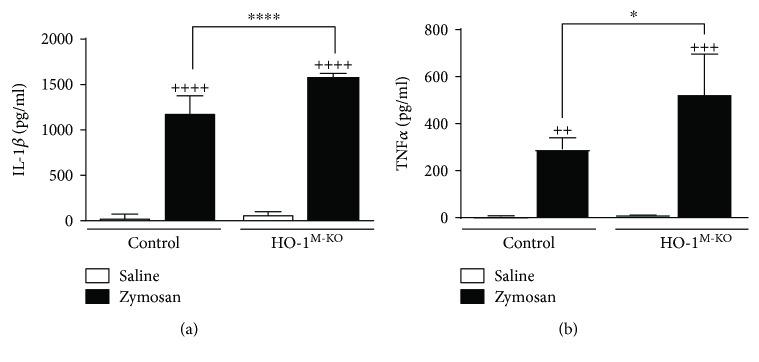 https://cdn.ncbi.nlm.nih.gov/pmc/blobs/2555/5828097/48ee4ac62c13/OMCL2018-5053091.003.jpg