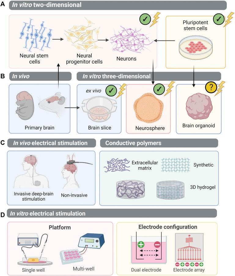 https://cdn.ncbi.nlm.nih.gov/pmc/blobs/2555/9152151/89315a0c552b/fcell-10-901652-g004.jpg