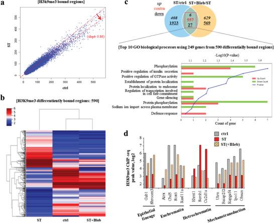 https://cdn.ncbi.nlm.nih.gov/pmc/blobs/2557/10646259/0e43c0e467cd/ADVS-10-2303395-g007.jpg