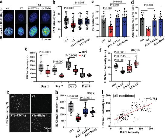 https://cdn.ncbi.nlm.nih.gov/pmc/blobs/2557/10646259/1f4601ecb83f/ADVS-10-2303395-g008.jpg