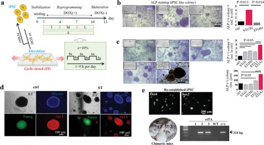 https://cdn.ncbi.nlm.nih.gov/pmc/blobs/2557/10646259/b8344e8830d2/ADVS-10-2303395-g006.jpg