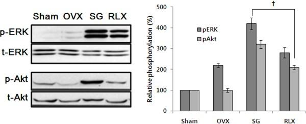 https://cdn.ncbi.nlm.nih.gov/pmc/blobs/2558/3561075/74472b0cdd20/1472-6882-12-227-1.jpg