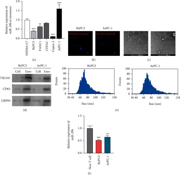 https://cdn.ncbi.nlm.nih.gov/pmc/blobs/255a/9586796/b45910bbded8/JIR2022-4769385.001.jpg