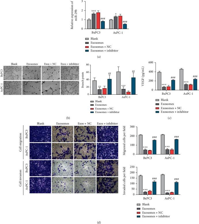 https://cdn.ncbi.nlm.nih.gov/pmc/blobs/255a/9586796/d019f29525d3/JIR2022-4769385.003.jpg