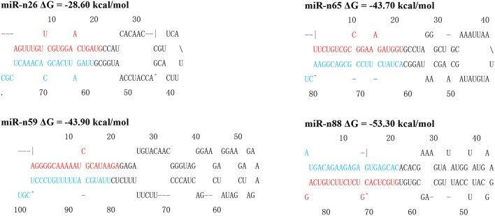https://cdn.ncbi.nlm.nih.gov/pmc/blobs/255d/4988358/61e55b8ba6e8/fpls-07-01184-g0004.jpg