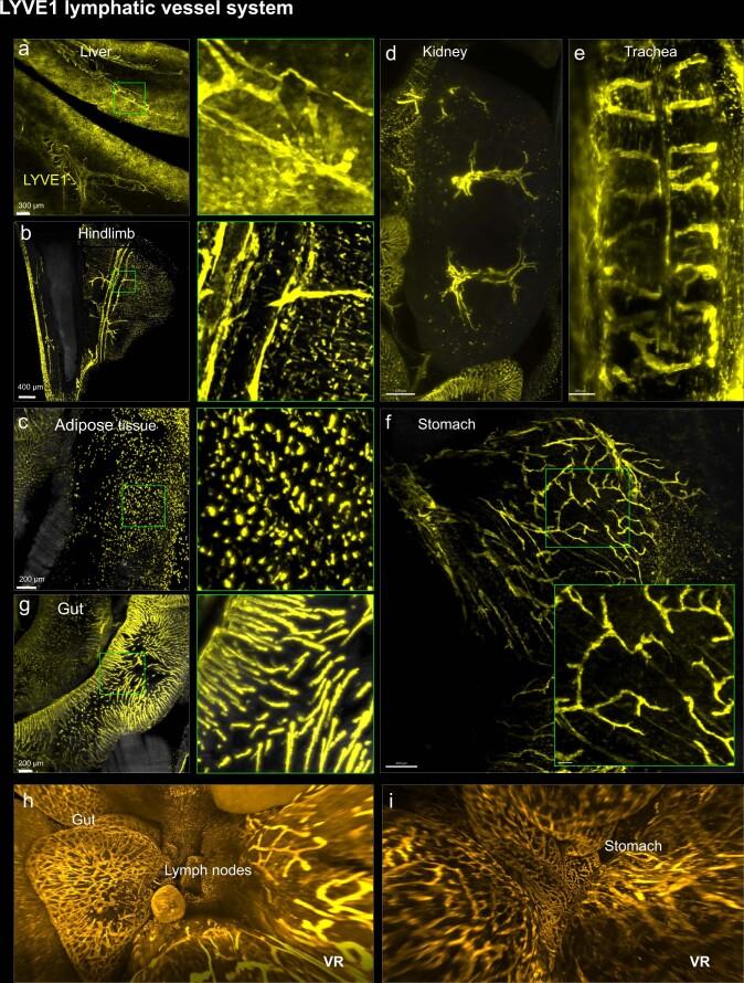 https://cdn.ncbi.nlm.nih.gov/pmc/blobs/255e/11021200/0fa0c188bf3f/41587_2023_1846_Fig8_ESM.jpg