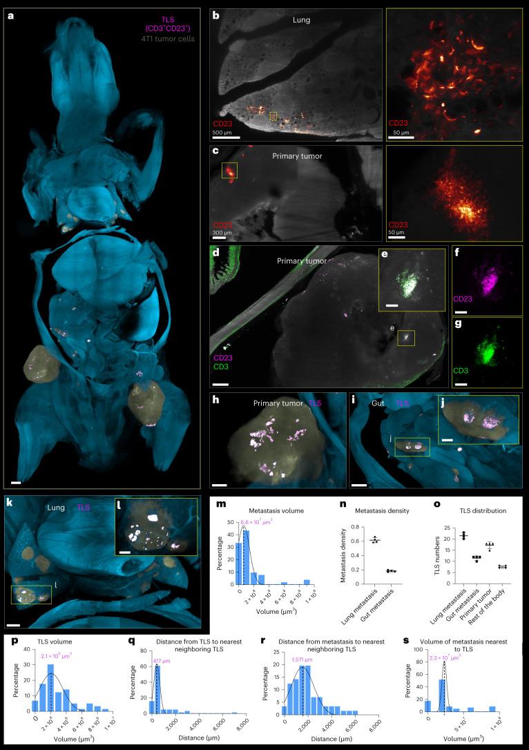 https://cdn.ncbi.nlm.nih.gov/pmc/blobs/255e/11021200/408c99ec7f12/41587_2023_1846_Fig4_HTML.jpg