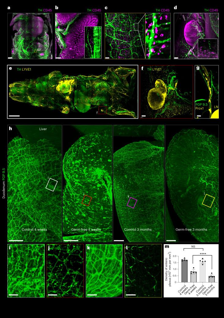 https://cdn.ncbi.nlm.nih.gov/pmc/blobs/255e/11021200/42197cc1cd5d/41587_2023_1846_Fig3_HTML.jpg