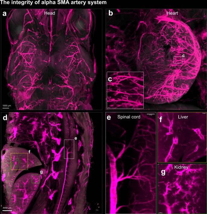 https://cdn.ncbi.nlm.nih.gov/pmc/blobs/255e/11021200/d428a97980ca/41587_2023_1846_Fig10_ESM.jpg