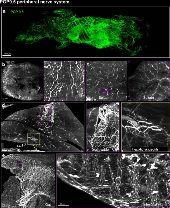 https://cdn.ncbi.nlm.nih.gov/pmc/blobs/255e/11021200/e3404a8bdf00/41587_2023_1846_Fig6_ESM.jpg