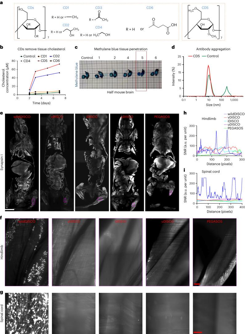 https://cdn.ncbi.nlm.nih.gov/pmc/blobs/255e/11021200/f69ecdee5996/41587_2023_1846_Fig1_HTML.jpg