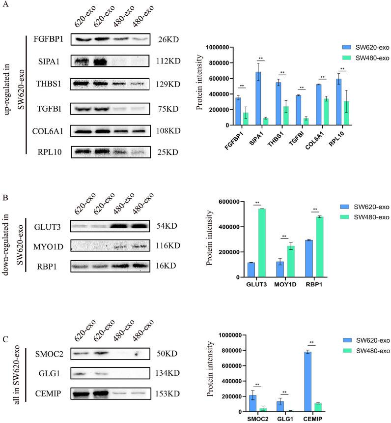 https://cdn.ncbi.nlm.nih.gov/pmc/blobs/255e/8927999/75ea768c0082/gr6.jpg