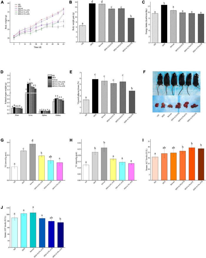 https://cdn.ncbi.nlm.nih.gov/pmc/blobs/255f/9039660/027bb001d1d4/fnut-09-840648-g001.jpg