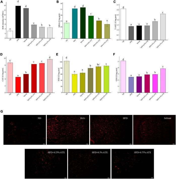 https://cdn.ncbi.nlm.nih.gov/pmc/blobs/255f/9039660/c8ff72f7421a/fnut-09-840648-g002.jpg