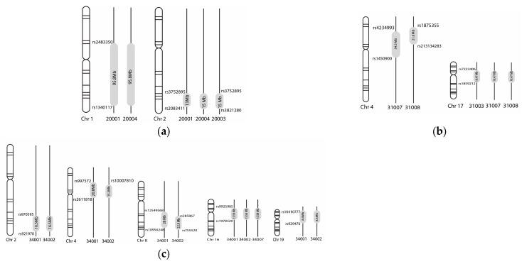 https://cdn.ncbi.nlm.nih.gov/pmc/blobs/2560/11429814/a0fa4abf3ed6/children-11-01063-g002.jpg