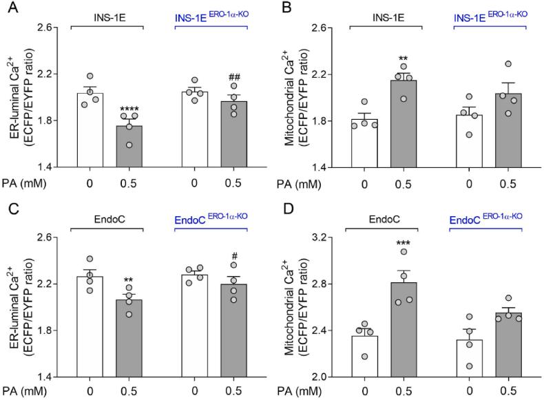 https://cdn.ncbi.nlm.nih.gov/pmc/blobs/2562/11070623/4e7659377551/gr6.jpg
