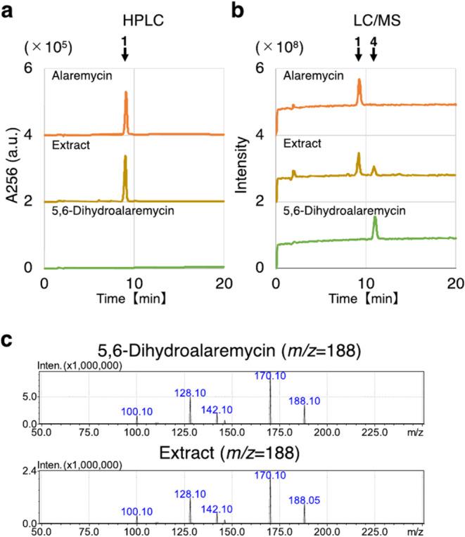 https://cdn.ncbi.nlm.nih.gov/pmc/blobs/2563/12006855/638cbbb2818a/bg5c00045_0005.jpg