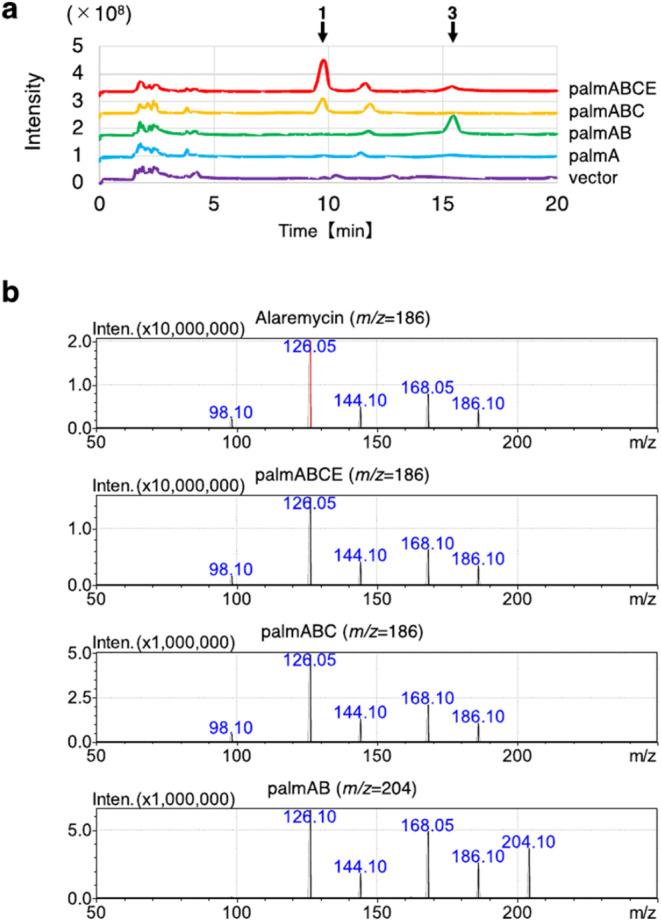 https://cdn.ncbi.nlm.nih.gov/pmc/blobs/2563/12006855/d05524bce5b8/bg5c00045_0002.jpg