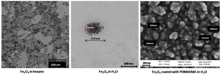 https://cdn.ncbi.nlm.nih.gov/pmc/blobs/2563/6415002/832fc6b0bbd5/polymers-10-00010-g001.jpg