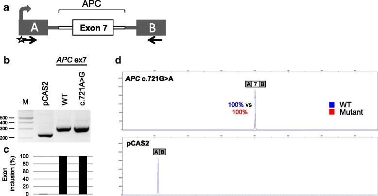 https://cdn.ncbi.nlm.nih.gov/pmc/blobs/2565/5769521/b5c059ae790a/13053_2018_86_Fig3_HTML.jpg