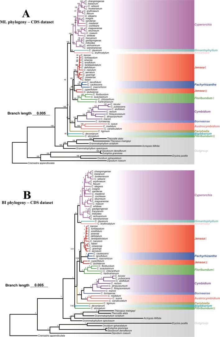 https://cdn.ncbi.nlm.nih.gov/pmc/blobs/2567/11390606/756b70b2ca0f/figs5.jpg