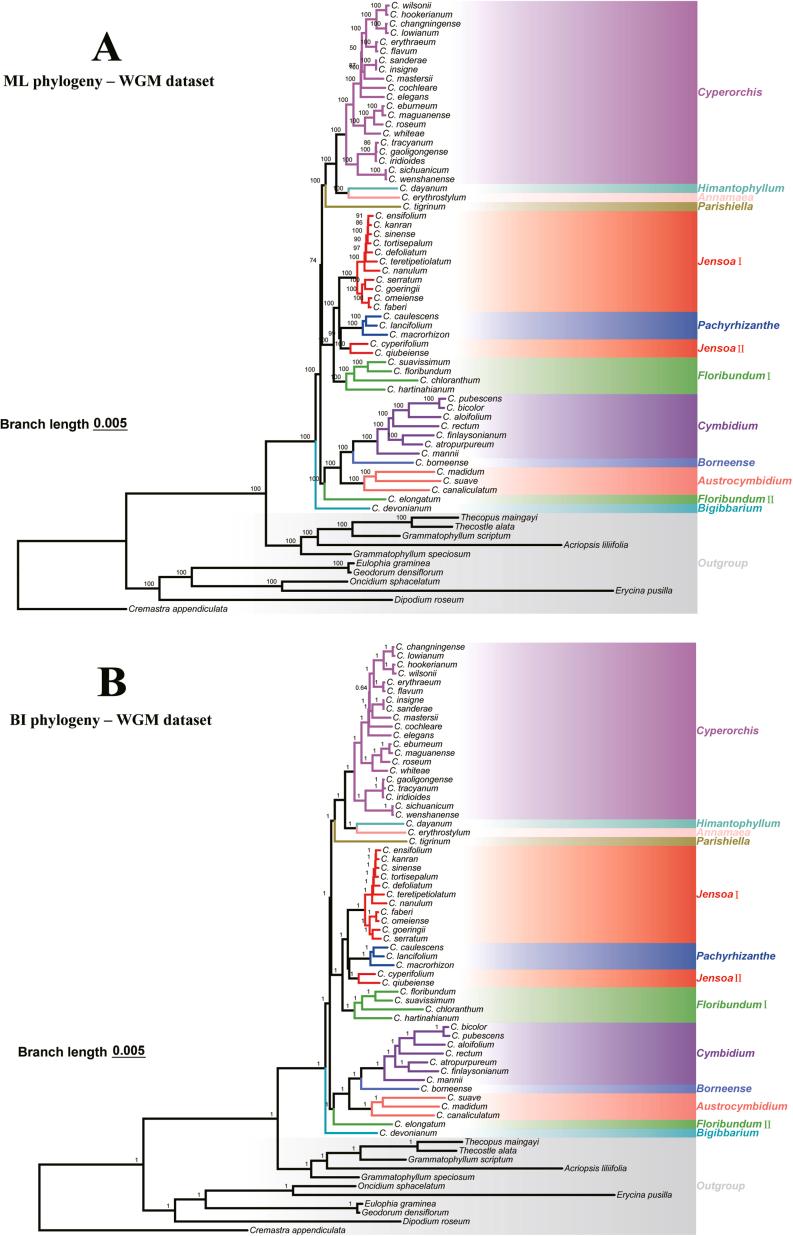 https://cdn.ncbi.nlm.nih.gov/pmc/blobs/2567/11390606/830dc331b4f6/figs1.jpg
