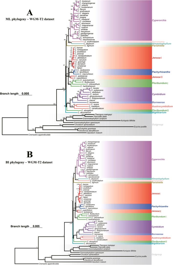 https://cdn.ncbi.nlm.nih.gov/pmc/blobs/2567/11390606/f542f435f5dc/figs3.jpg