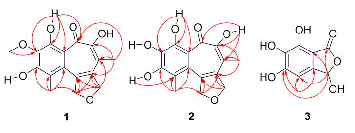 https://cdn.ncbi.nlm.nih.gov/pmc/blobs/2567/8304361/b26b74e635e3/marinedrugs-19-00395-g002.jpg