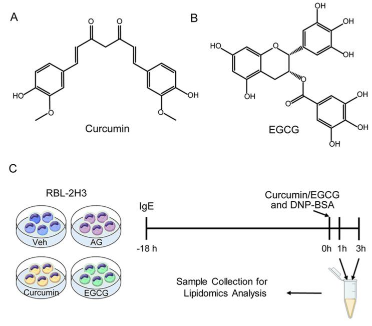 https://cdn.ncbi.nlm.nih.gov/pmc/blobs/2568/10223132/e78a198cd381/metabolites-13-00628-g001.jpg