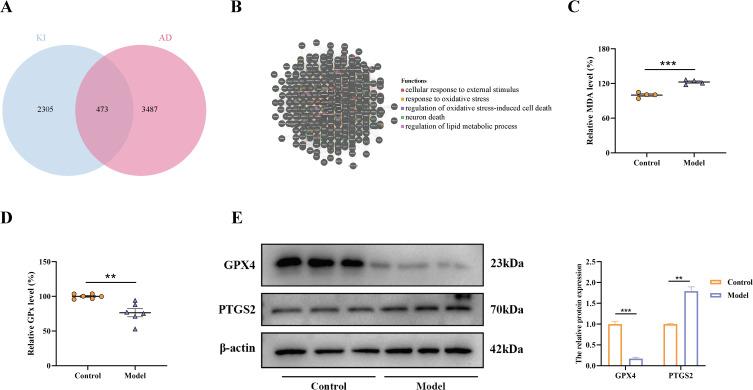 https://cdn.ncbi.nlm.nih.gov/pmc/blobs/2568/11752830/015c1c184f57/JIR-18-827-g0005.jpg