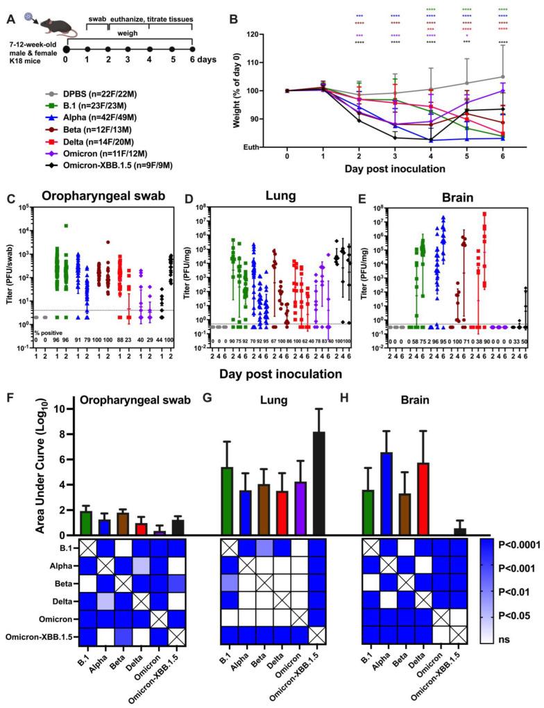 https://cdn.ncbi.nlm.nih.gov/pmc/blobs/2568/12031173/9cafac17d1e9/viruses-17-00500-g001.jpg