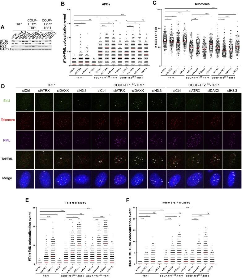 https://cdn.ncbi.nlm.nih.gov/pmc/blobs/2569/11194075/5487d830ec16/gkae389fig4.jpg