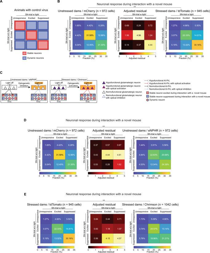 https://cdn.ncbi.nlm.nih.gov/pmc/blobs/256a/10205810/18d08837432c/41467_2023_38799_Fig3_HTML.jpg