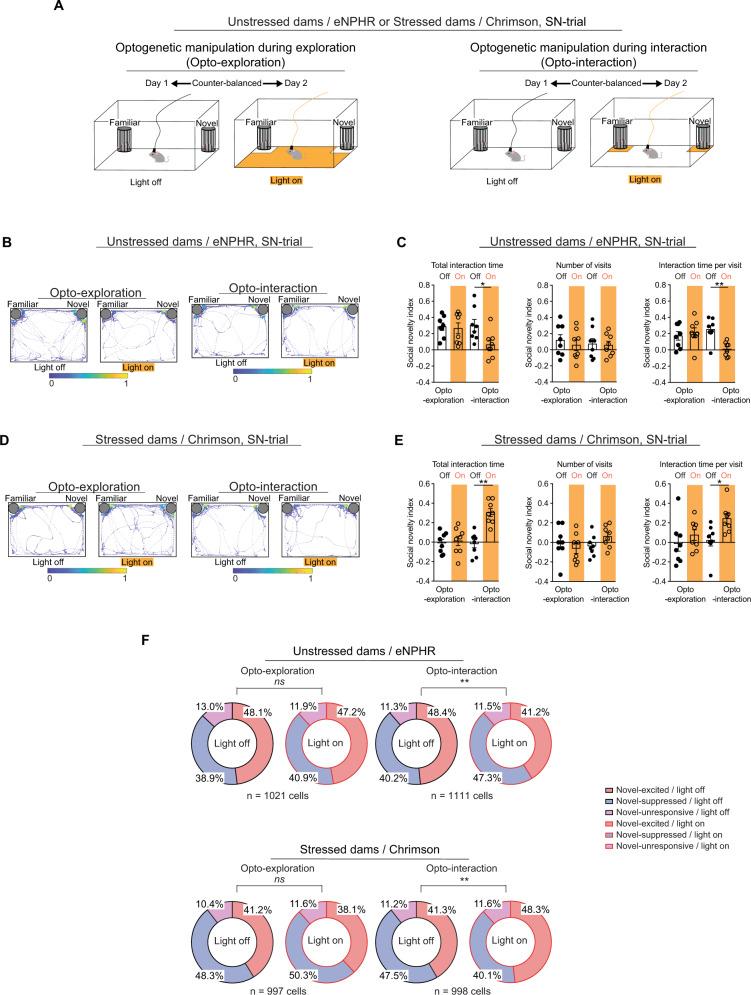 https://cdn.ncbi.nlm.nih.gov/pmc/blobs/256a/10205810/7d9e2d9c620e/41467_2023_38799_Fig4_HTML.jpg
