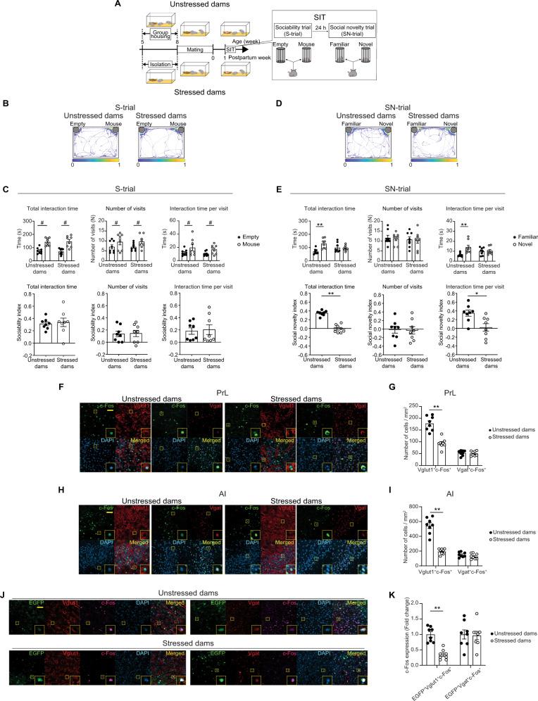 https://cdn.ncbi.nlm.nih.gov/pmc/blobs/256a/10205810/b82e99ca25c3/41467_2023_38799_Fig1_HTML.jpg