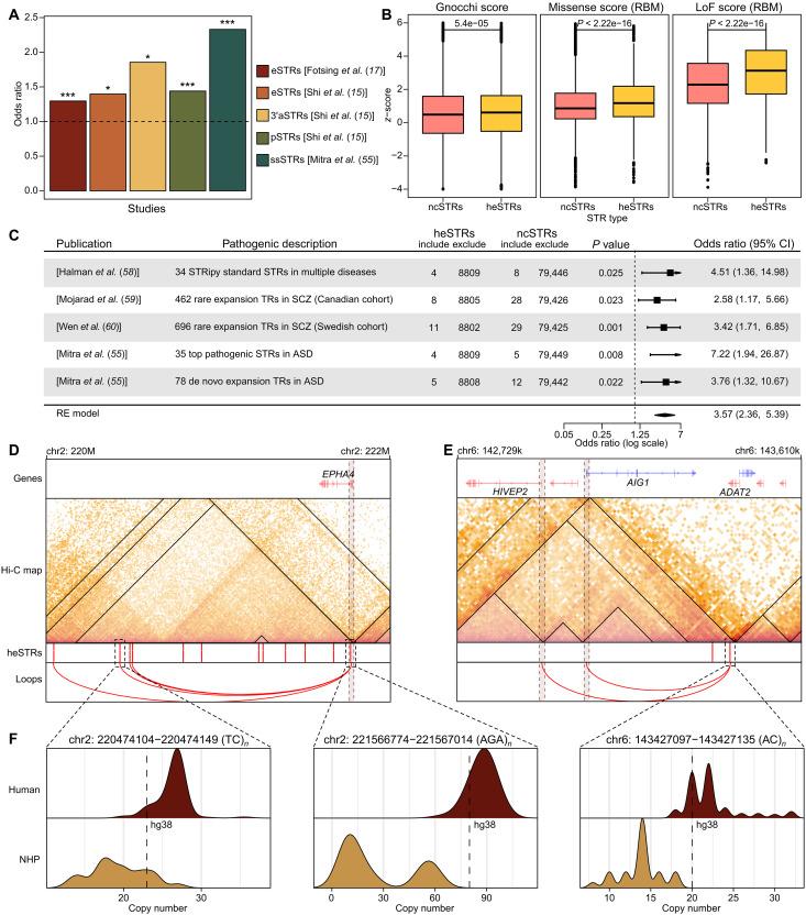 https://cdn.ncbi.nlm.nih.gov/pmc/blobs/256a/12124357/7cbc1efb568b/sciadv.adp9707-f5.jpg