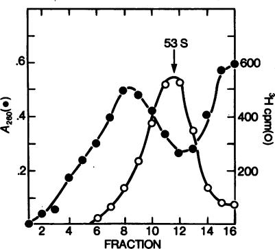 https://cdn.ncbi.nlm.nih.gov/pmc/blobs/256a/2493013/6839197ab3c3/11999_2008_355_Fig2_HTML.jpg