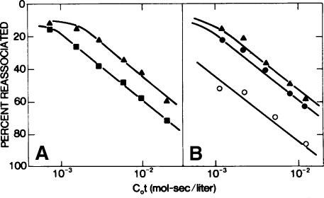 https://cdn.ncbi.nlm.nih.gov/pmc/blobs/256a/2493013/e50ba5c681e9/11999_2008_355_Fig7_HTML.jpg