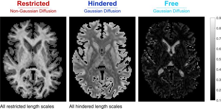 https://cdn.ncbi.nlm.nih.gov/pmc/blobs/256b/9921225/90951720994d/HBM-44-1496-g006.jpg