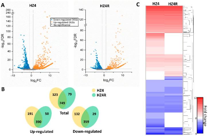 https://cdn.ncbi.nlm.nih.gov/pmc/blobs/256c/7922634/8946ea821749/jof-07-00150-g001.jpg