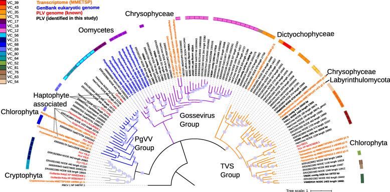 https://cdn.ncbi.nlm.nih.gov/pmc/blobs/256d/7805220/24842cd36c18/40168_2020_956_Fig4_HTML.jpg