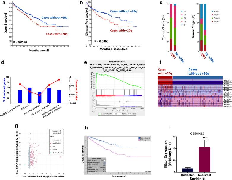 https://cdn.ncbi.nlm.nih.gov/pmc/blobs/256e/7541266/5ba4b22c2681/12935_2020_1585_Fig2_HTML.jpg
