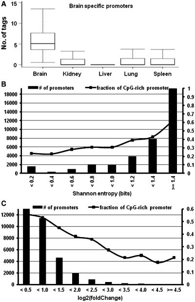 https://cdn.ncbi.nlm.nih.gov/pmc/blobs/2572/3017616/5da856f15101/gkq775f5.jpg