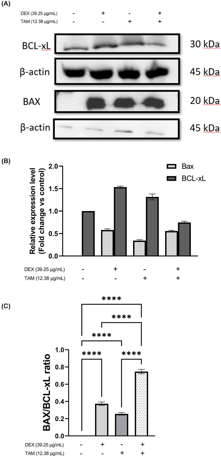 https://cdn.ncbi.nlm.nih.gov/pmc/blobs/2573/11230869/267b3c403ef7/bsr-44-bsr20240367-g3.jpg