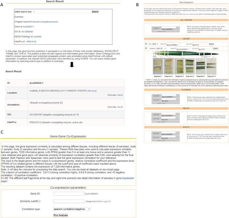 https://cdn.ncbi.nlm.nih.gov/pmc/blobs/2574/6139296/7613a41430ac/41438_2018_78_Fig3_HTML.jpg