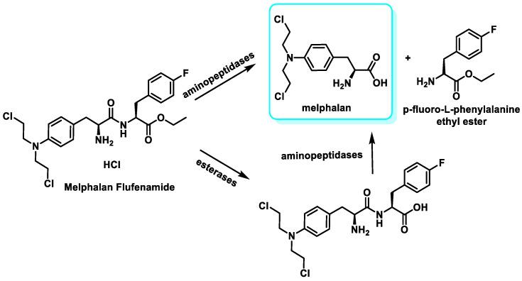 https://cdn.ncbi.nlm.nih.gov/pmc/blobs/2575/11429518/1deff8d06c5a/cancers-16-03123-g020.jpg