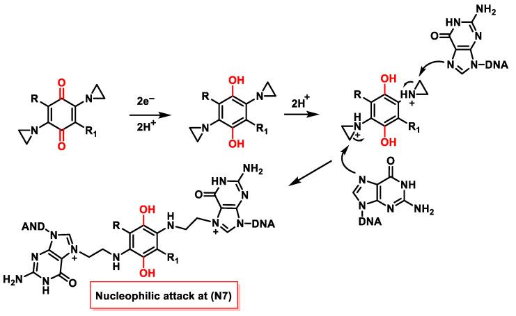 https://cdn.ncbi.nlm.nih.gov/pmc/blobs/2575/11429518/3b350e4a0c1f/cancers-16-03123-g033.jpg