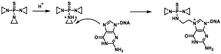 https://cdn.ncbi.nlm.nih.gov/pmc/blobs/2575/11429518/a78d093a288e/cancers-16-03123-g027.jpg