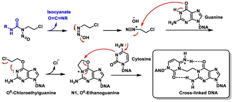 https://cdn.ncbi.nlm.nih.gov/pmc/blobs/2575/11429518/af2992d6a495/cancers-16-03123-g039.jpg