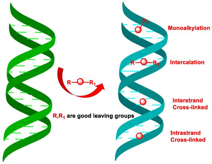 https://cdn.ncbi.nlm.nih.gov/pmc/blobs/2575/11429518/bff7f23f86f7/cancers-16-03123-g004.jpg